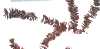 wpe37750.gif (83139 bytes)