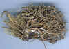 niebla_juncosa_11577.jpg (220924 bytes)