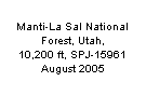 Text Box: Manti-La Sal National Forest, Utah, 
10,200 ft, SPJ-15961
August 2005
